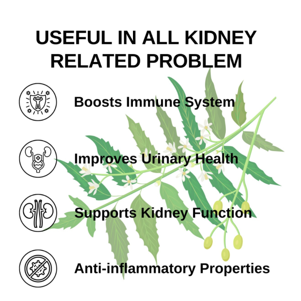 Kidney Care Uriactive Capsule - Image 2